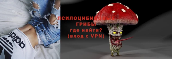 прущие крисы Дмитриев