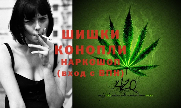шишки Гусиноозёрск