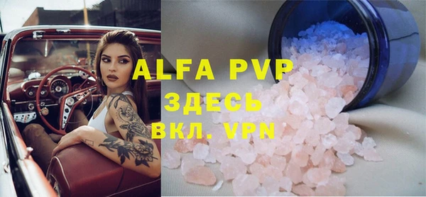 шишки Гусиноозёрск